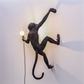 Зверь световой Seletti Monkey Lamp 14919 - фото 3472196 Зверь световой Seletti Monkey Lamp 14919 - фото 3472196