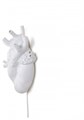 Зверь световой Seletti Love in Bloom 9925 - фото 3472277 Зверь световой Seletti Love in Bloom 9925 - фото 3472277