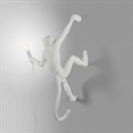 Зверь световой Seletti Monkey Lamp 14925 - фото 3472298