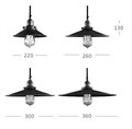 Подвесной светильник Imperiumloft Loft Cone Pendant 40.028 - фото 3483000