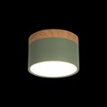 Накладной светильник Loft it Grape 10162 Green - фото 3638821