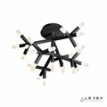 Потолочная люстра iLedex Savage FS-017-X25 BK - фото 3921337