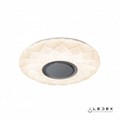 Накладной светильник iLedex Sphere ZN-XU36XD-GSR-Y - фото 3921685