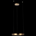 Подвесной светильник Loft it Ring 10013S - фото 4004457
