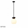 Светильник на штанге iLamp Mono P6079-1 BK+WH - фото 4400765 Светильник на штанге iLamp Mono P6079-1 BK+WH - фото 4400765