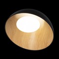 Накладной светильник Loft it Egg 10197/500 Black - фото 4404359