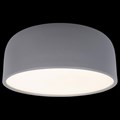 Накладной светильник Loft it Axel 10201/350 Grey - фото 4404392