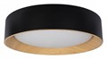 Накладной светильник Loft it Coin 10202 Black - фото 4404399