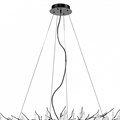Подвесная люстра Wertmark Daniela WE182.19.043 - фото 4417715 Подвесная люстра Wertmark Daniela WE182.19.043 - фото 4417715
