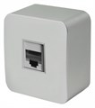 Розетка Ethernet RJ-45 Stekker София 49324 - фото 4419439