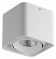 Накладной светильник Lightstar Monocco 052116-IP65 - фото 4530388