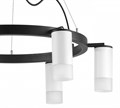 Подвесная люстра Lightstar Rullo LR0163661 - фото 4536476