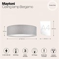 Накладной светильник Maytoni Bergamo MOD613CL-04GR - фото 4578350