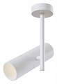 Светильник на штанге Maytoni Elti C020CL-01W - фото 4579469