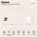 Накладной светильник Maytoni Anillo MOD315CL-L25G3K - фото 4584479