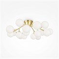 Потолочная люстра Maytoni Dallas MOD545CL-20BS - фото 4588171