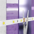 Лента светодиодная Maytoni Led strip 20014 - фото 4590056