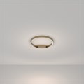 Накладной светильник Maytoni Rim MOD058CL-L25BSK - фото 4592900