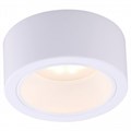 Накладной светильник Arte Lamp Effetto A5553PL-1WH - фото 4607388