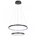 Подвесной светильник Arte Lamp Frodo A2197SP-2BK - фото 4608930