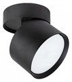 Светильник на штанге Arte Lamp Intercrus A5549PL-1BK - фото 4609219