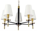 Подвесная люстра Arte Lamp Riccardo A4075LM-5BK - фото 4610221