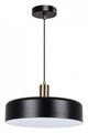 Подвесной светильник Arte Lamp Skat A7152SP-1BK - фото 4610724