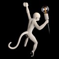 Бра Loft it Monkey 10314W/A - фото 4627200
