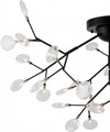 Потолочная люстра Freya Florencia FR5049CL-36B - фото 4638646