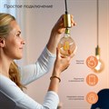 Лампа светодиодная с управлением через Wi-Fi Gauss Smart Home E14 4.5Вт 2700K 1260112 - фото 4641534 Лампа светодиодная с управлением через Wi-Fi Gauss Smart Home E14 4.5Вт 2700K 1260112 - фото 4641534