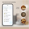 Лампа светодиодная с управлением через Wi-Fi Gauss Smart Home E14 5Вт 2700K 1100112 - фото 4641640 Лампа светодиодная с управлением через Wi-Fi Gauss Smart Home E14 5Вт 2700K 1100112 - фото 4641640