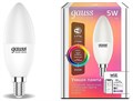 Лампа светодиодная с управлением через Wi-Fi Gauss Smart Home E14 5Вт 2700-6500K 1190112 - фото 4641651