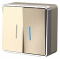 Выключатель двухклавишный с подсветкой Werkel Gallant (шампань рифленый) W5020110 Gallant (шампань рифленый) - фото 4645781