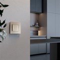 Выключатель сенсорый двухклавишный с подсветкой и функцией Wi-Fi, без рамки Werkel шампань W4523011 - фото 4646978 Выключатель сенсорый двухклавишный с подсветкой и функцией Wi-Fi, без рамки Werkel шампань W4523011 - фото 4646978