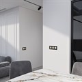 Выключатель сенсорый двухклавишный с подсветкой и функцией Wi-Fi, без рамки Werkel шампань W4523011 - фото 4646979 Выключатель сенсорый двухклавишный с подсветкой и функцией Wi-Fi, без рамки Werkel шампань W4523011 - фото 4646979