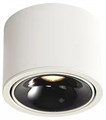 Накладной светильник Wertmark WTA.O06 WTA.O06.067.30.12 - фото 4688880