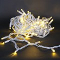 A-504 WW гирлянда светодиодная, белый провод 10м, 100LED, 24V, морозоустойчивая, влагозащищенная - фото 4689937