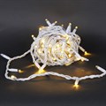 A-504 WW/W FLASH гирлянда светодиодная, белый провод 10м, 100LED, 24V, морозоустойчивая, влагозащищ. - фото 4689940