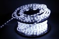 13-3W-50M-220V-LED-U CUT 1M WT дюралайт круглый - фото 4691738