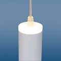 Подвесной светильник Elektrostandard DLR035 a043959 - фото 4742966 Подвесной светильник Elektrostandard DLR035 a043959 - фото 4742966