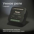 Конвертер Wi-Fi для смартфонов и планшетов Elektrostandard 76006 a059324 - фото 4745611