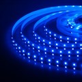 Лента светодиодная Elektrostandard 12V 4,8W a040994 - фото 4748689 Лента светодиодная Elektrostandard 12V 4,8W a040994 - фото 4748689