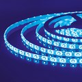 Лента светодиодная Elektrostandard 12V 4,8W a040999 - фото 4748700 Лента светодиодная Elektrostandard 12V 4,8W a040999 - фото 4748700