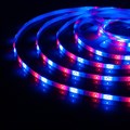 Лента светодиодная Elektrostandard 12V 4,8W a050579 - фото 4748773 Лента светодиодная Elektrostandard 12V 4,8W a050579 - фото 4748773
