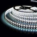 Лента светодиодная Elektrostandard 12V 9,6W a052851 - фото 4748788 Лента светодиодная Elektrostandard 12V 9,6W a052851 - фото 4748788