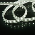 Лента светодиодная Elektrostandard LS014 220V a053638 - фото 4748895 Лента светодиодная Elektrostandard LS014 220V a053638 - фото 4748895