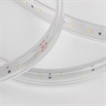 Лента светодиодная Elektrostandard LS014 220V a053638 - фото 4748896 Лента светодиодная Elektrostandard LS014 220V a053638 - фото 4748896