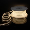 Лента светодиодная Elektrostandard LS015 220V a053639 - фото 4748899 Лента светодиодная Elektrostandard LS015 220V a053639 - фото 4748899