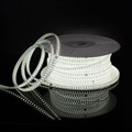 Лента светодиодная Elektrostandard LS015 220V a053640 - фото 4748907 Лента светодиодная Elektrostandard LS015 220V a053640 - фото 4748907