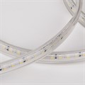 Лента светодиодная Elektrostandard LS015 220V a053640 - фото 4748908 Лента светодиодная Elektrostandard LS015 220V a053640 - фото 4748908